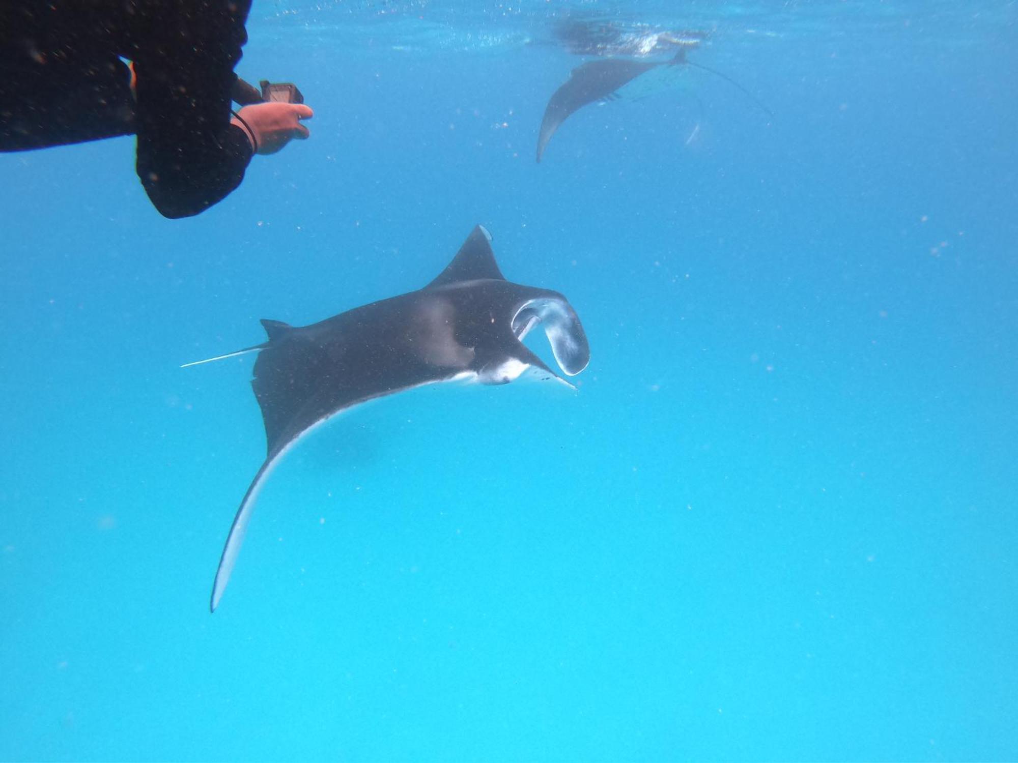 Biosphere Inn Dharavandhoo Eksteriør bilde