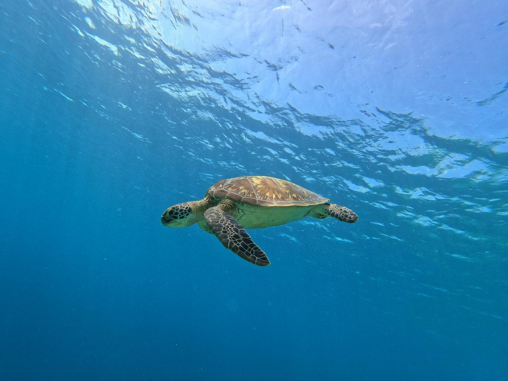 Biosphere Inn Dharavandhoo Eksteriør bilde