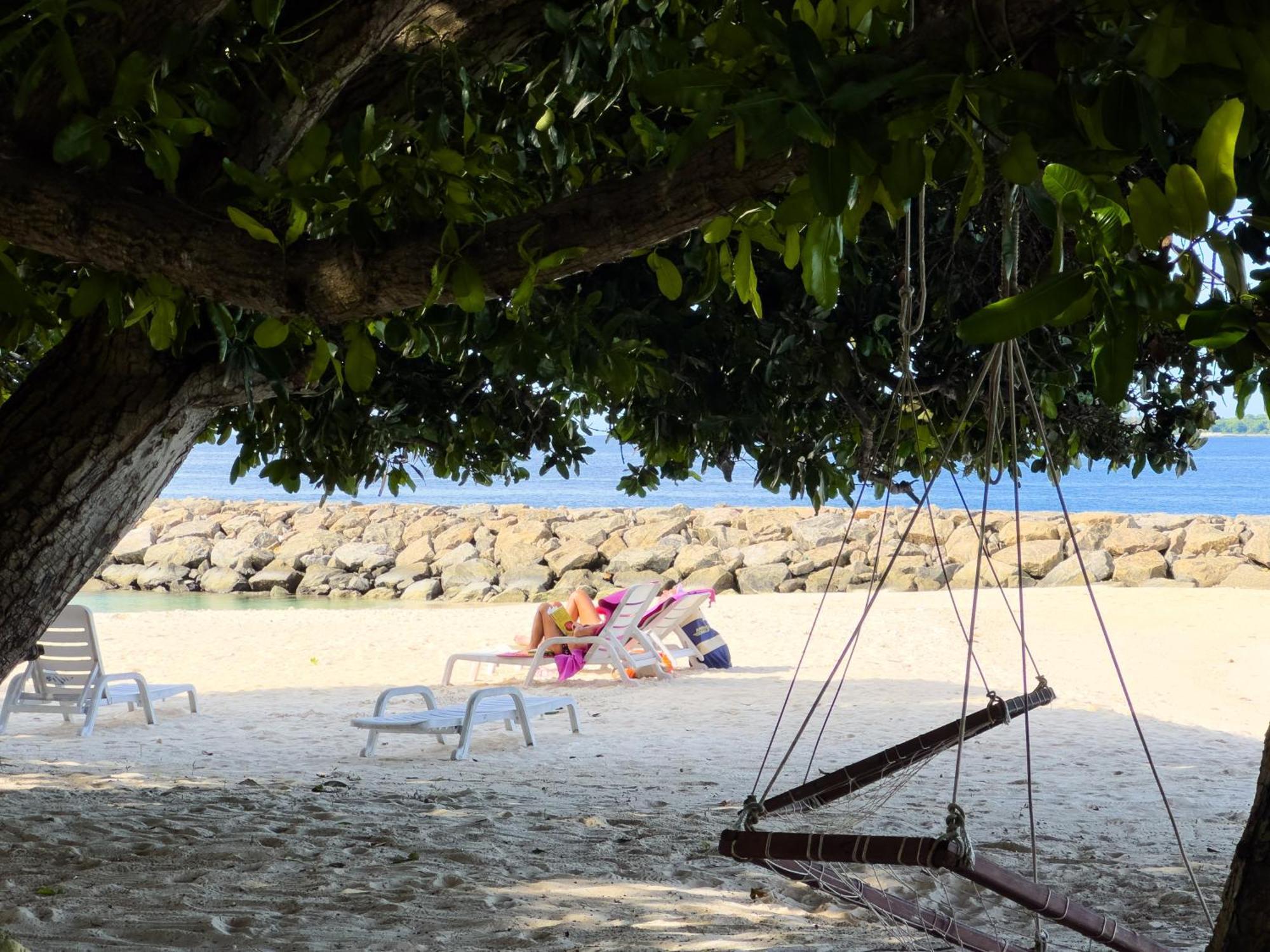 Biosphere Inn Dharavandhoo Eksteriør bilde